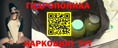 бошки Боровичи